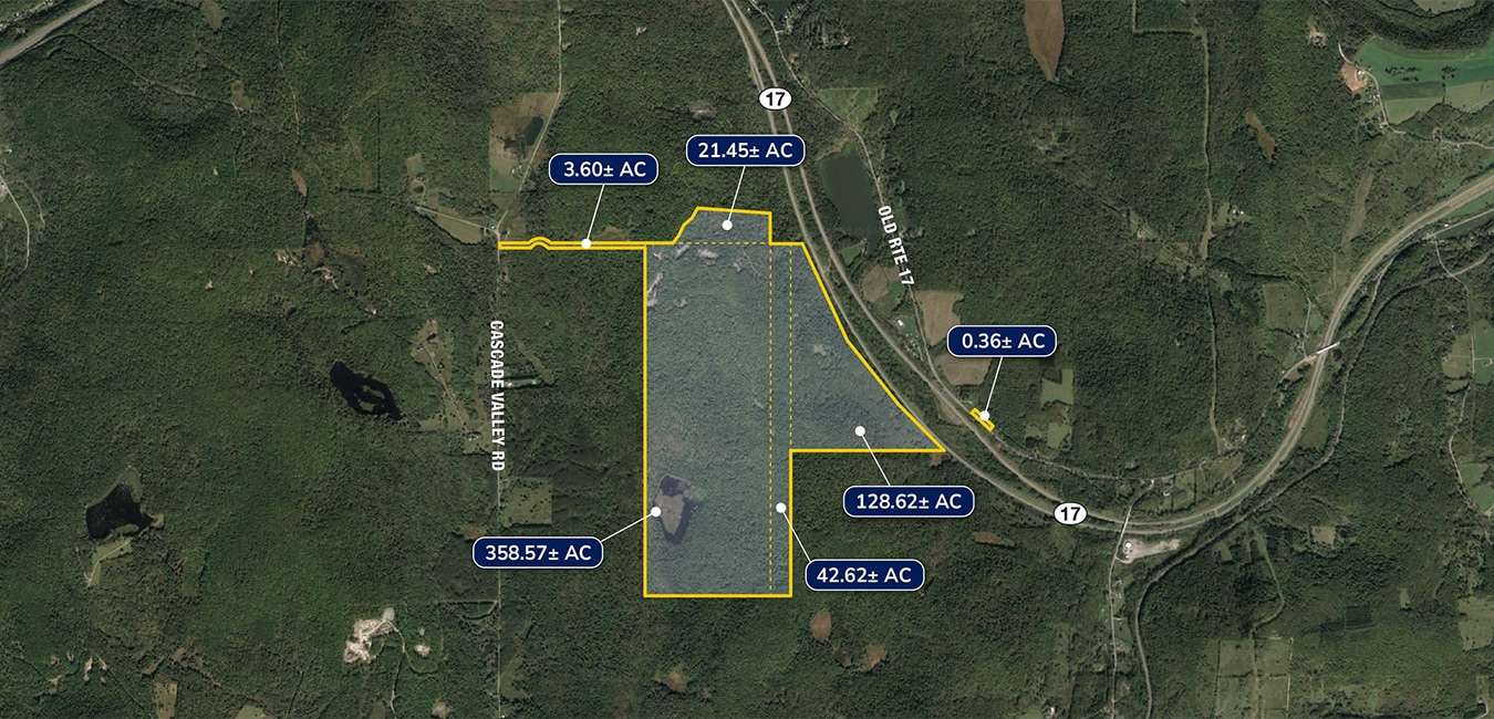 2332 Old Rte 17, Windsor Township, NY à vendre Photo principale– Image 1 sur 6