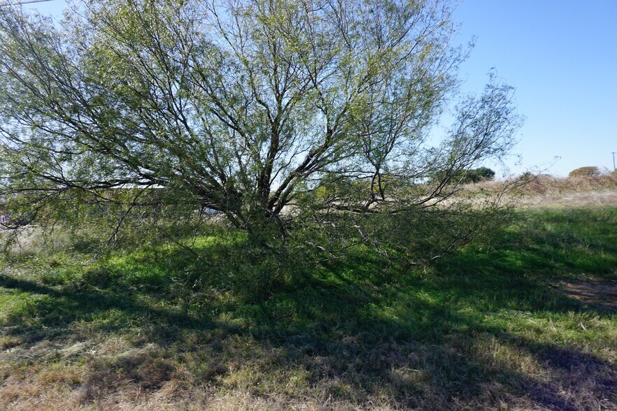 3500 Burkburnett Rd, Wichita Falls, TX à vendre - Photo de l’immeuble – Image 3 sur 14