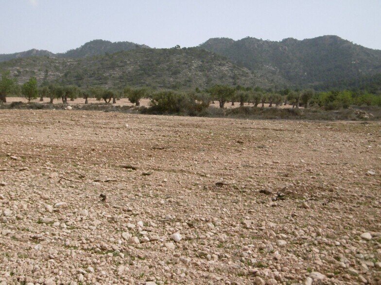 Terrain dans Yecla, Murcia à vendre - Plan de site – Image 2 sur 3