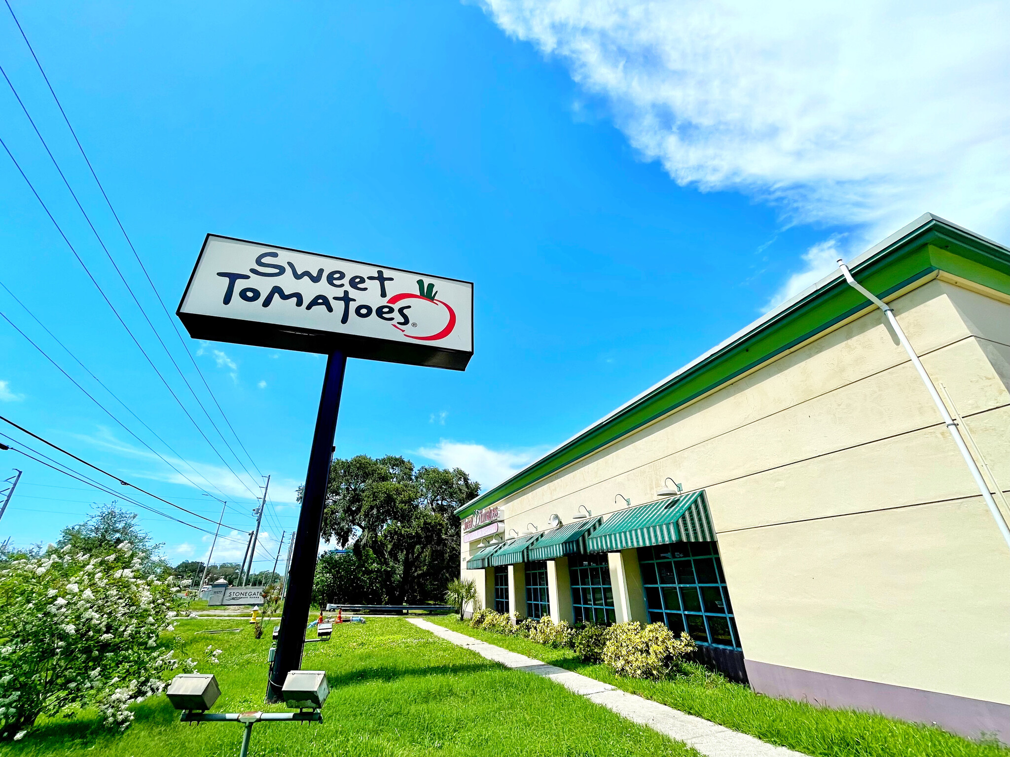 31151 Us Highway 19 N, Palm Harbor, FL à vendre Photo de l’immeuble– Image 1 sur 5