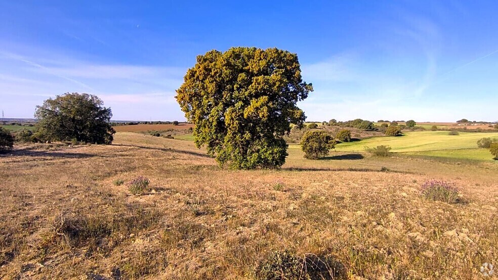 Terrain dans Villamantilla, Madrid à vendre - Photo de l’immeuble – Image 3 sur 14