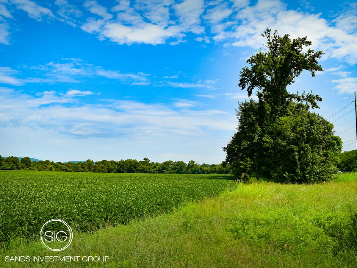 8924 Highway 431 South, Owens Cross Roads, AL à vendre Photo principale– Image 1 sur 5