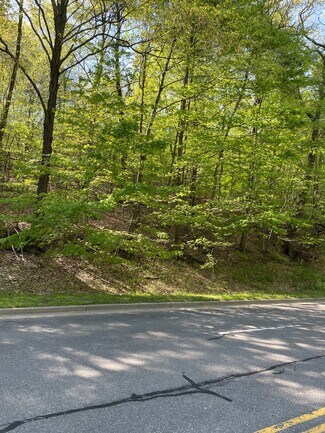 Plus de détails pour 270 Glenwood Rd, Dickinson Township, NY - Terrain à vendre