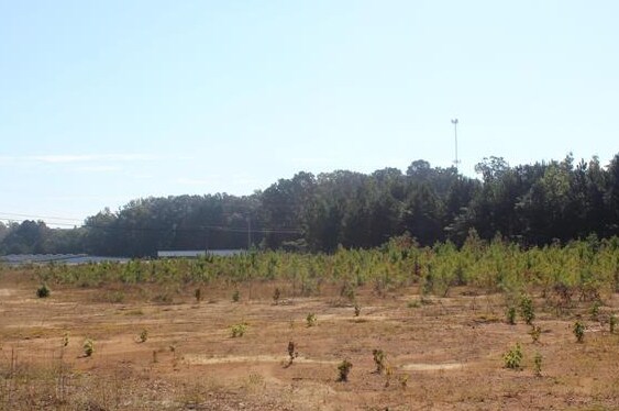 00 County Road 715, Cullman, AL à vendre Autre– Image 1 sur 2