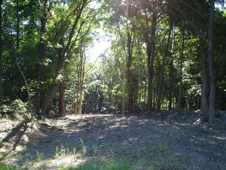 Plus de détails pour 230 Camp Sunset Rd, Plattekill, NY - Terrain à vendre