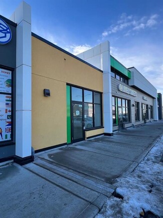 Plus de détails pour 30 Savanna Cres NE, Calgary, AB - Local commercial à vendre