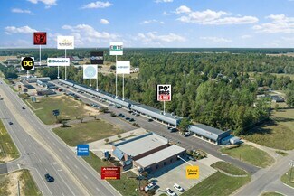 Plus de détails pour Magnolia District Shopping Center – Local commercial à vendre, Petal, MS