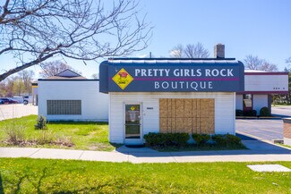Plus de détails pour Portfolio for sale – Local commercial à vendre, Livonia, MI