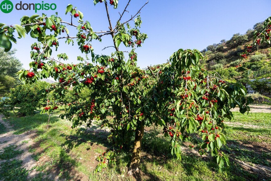 Paseo la Duquesa, S/N, Pinos Genil, Granada à vendre - Photo principale – Image 1 sur 41