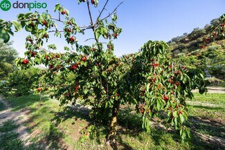 Plus de détails pour Paseo la Duquesa, S/N, Pinos Genil - Terrain à vendre