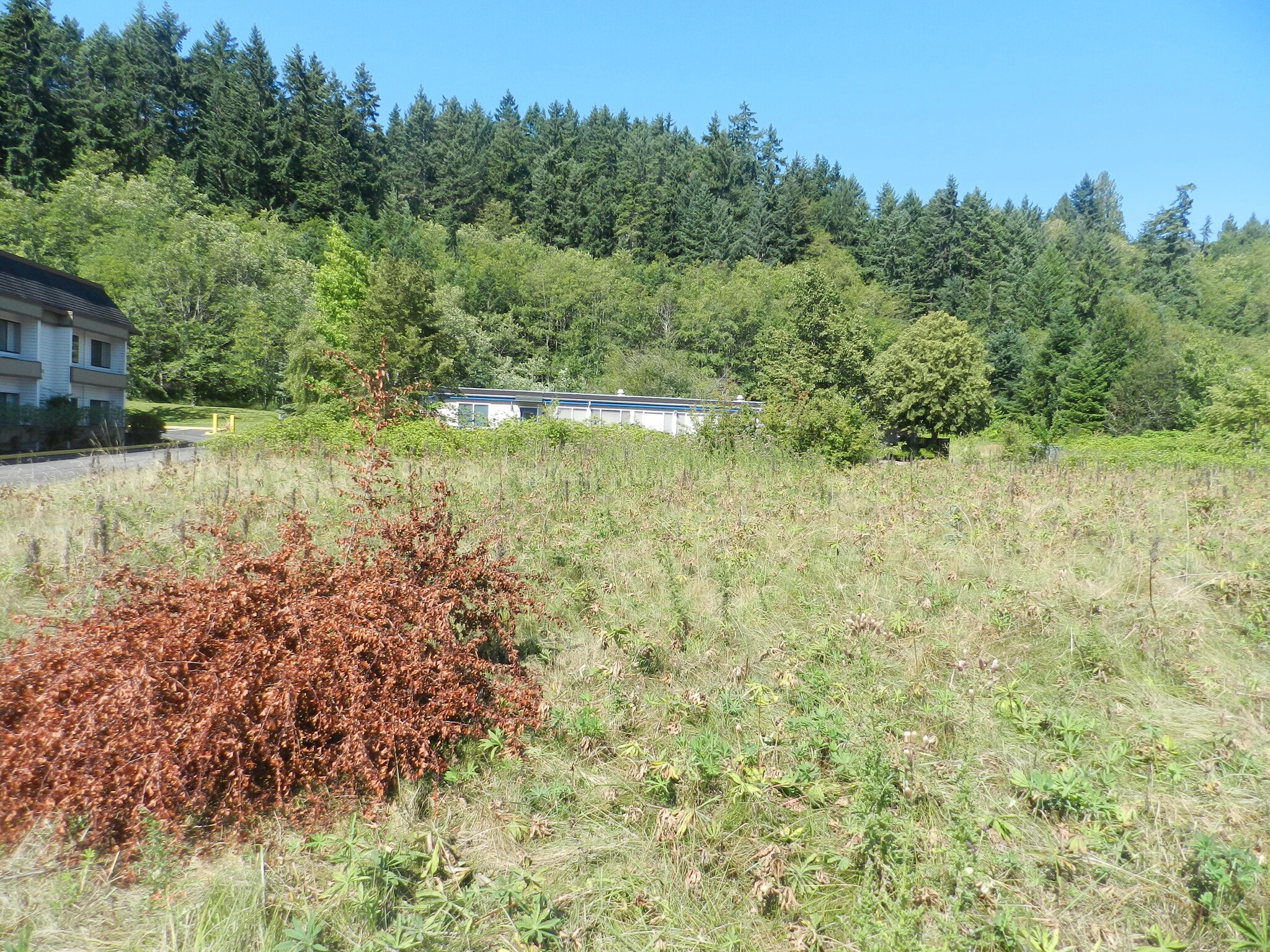 7th, Poulsbo, WA 98370, Poulsbo, WA à vendre Photo principale– Image 1 sur 8