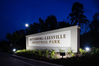 Plus de détails pour 104 Fisher Tank Rd, Leesville, SC - Terrain à vendre