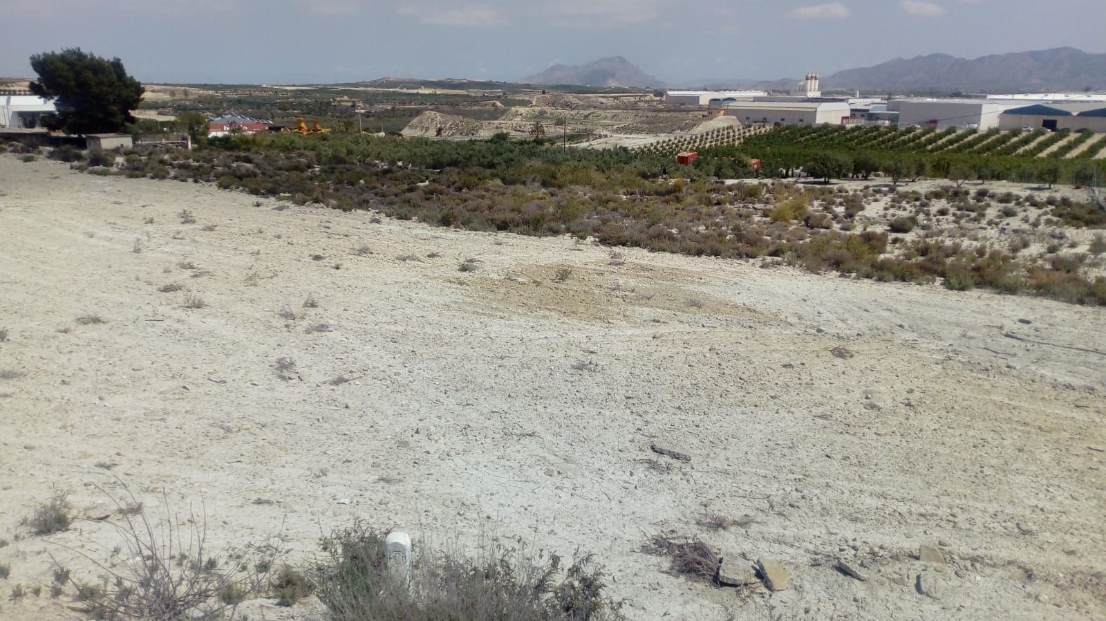 Terrain dans Fortuna, Murcia à vendre Plan de site– Image 1 sur 4