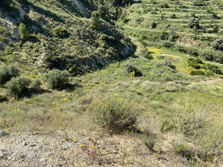 Lorca, S/N, Murcia, Murcia à vendre - Aérien – Image 2 sur 10