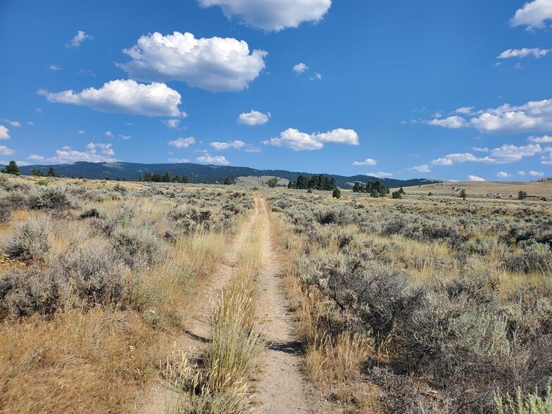 600 Home Stretch Dr, Stevensville, MT à vendre - Autre – Image 1 sur 11