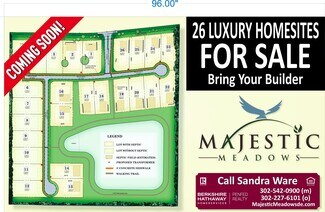Plus de détails pour 17032 Regal Dr, Milton, DE - Terrain à vendre