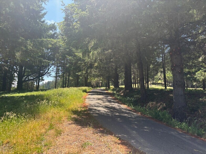 21380 Siri rd, Guerneville, CA à vendre - Photo de l’immeuble – Image 3 sur 29