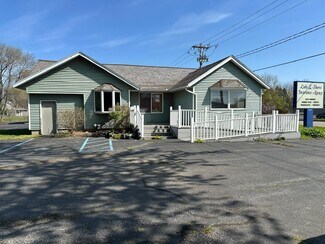 Plus de détails pour 5604 Cleveland Ave, Stevensville, MI - Local commercial à vendre