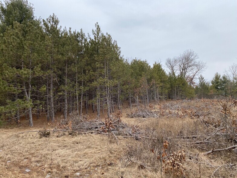 207 State Highway 13, Nekoosa, WI à vendre - Photo de l’immeuble – Image 3 sur 21