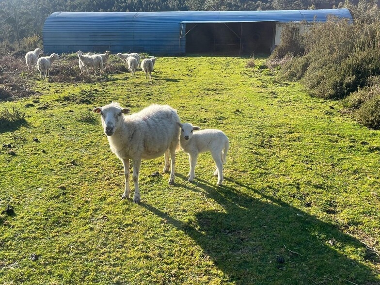 Acevedo, Oia, Pontevedra à vendre - Photo de l’immeuble – Image 2 sur 42