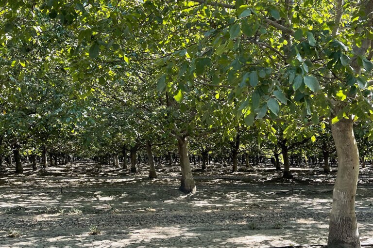 Old River Road, West Sacramento, CA à vendre Photo principale– Image 1 sur 7