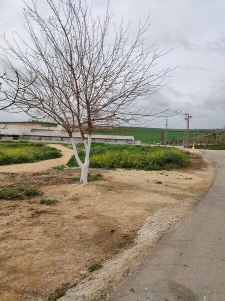 Paso Particular Oe, R5, Burguillos, Sevilla à vendre Photo principale– Image 1 sur 20