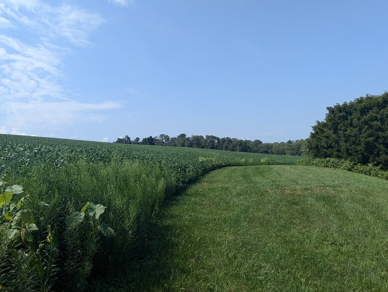 Bridgeview Rd, New Freedom, PA à vendre - Photo principale – Image 1 sur 4
