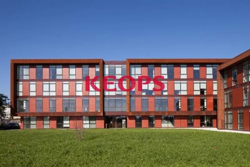 8 Rue De Vidailhan, Balma à louer Photo de l’immeuble– Image 1 sur 15