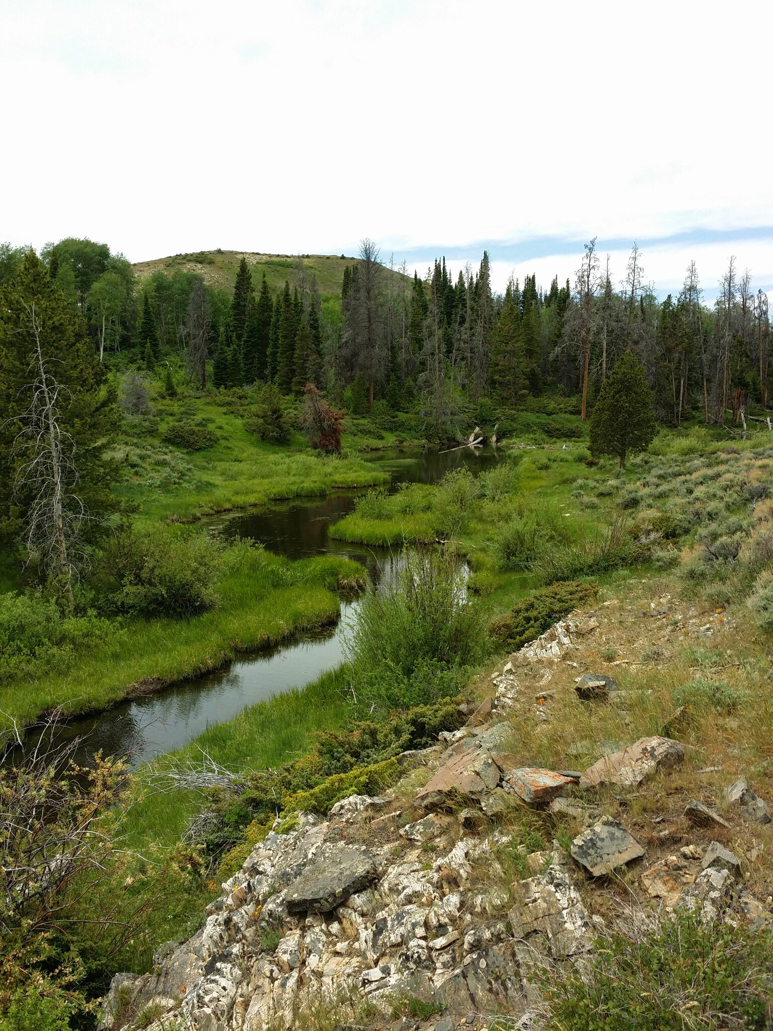 Jack Creek Road, Saratoga, WY à vendre Photo principale– Image 1 sur 14