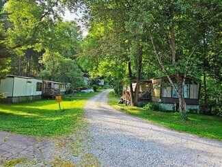 Plus de détails pour 4573 Bluff City Hwy, Bluff City, TN - Logement à vendre