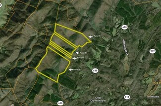 Plus de détails pour 4680 Shiloh Mountain Trl, Schuyler, VA - Terrain à vendre