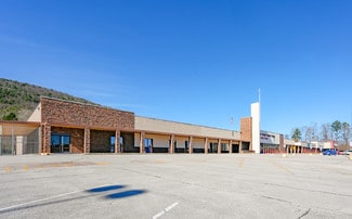 Plus de détails pour 10161 Dayton Pike, Soddy-Daisy, TN - Local commercial à louer