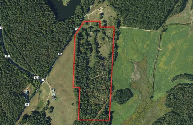 0 County Road 15, Wedowee, AL à vendre - Photo principale – Image 1 sur 2