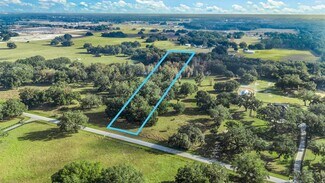 Plus de détails pour Tract 1 - County Road 221, Wildwood, FL - Terrain à vendre