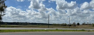 Plus de détails pour NW US-441, Alachua, FL - Terrain à vendre