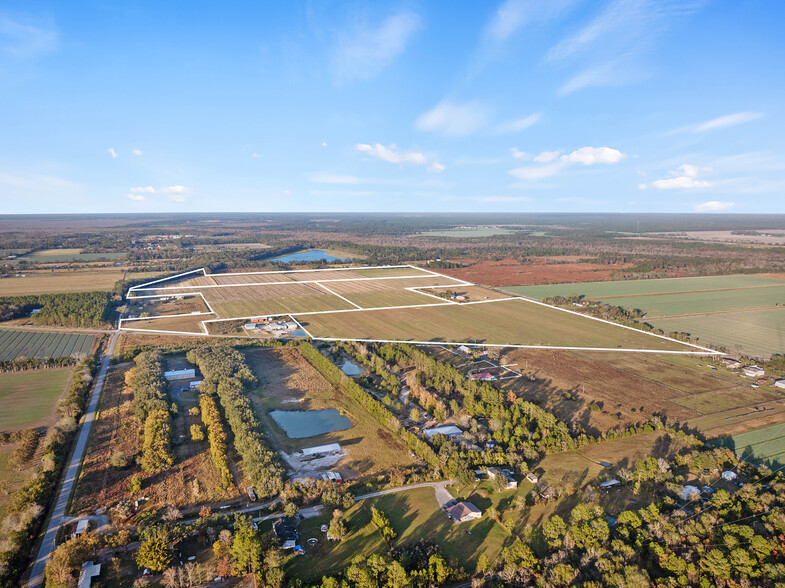 7120 County Road 13 South, Hastings, FL à vendre - Aérien – Image 3 sur 31