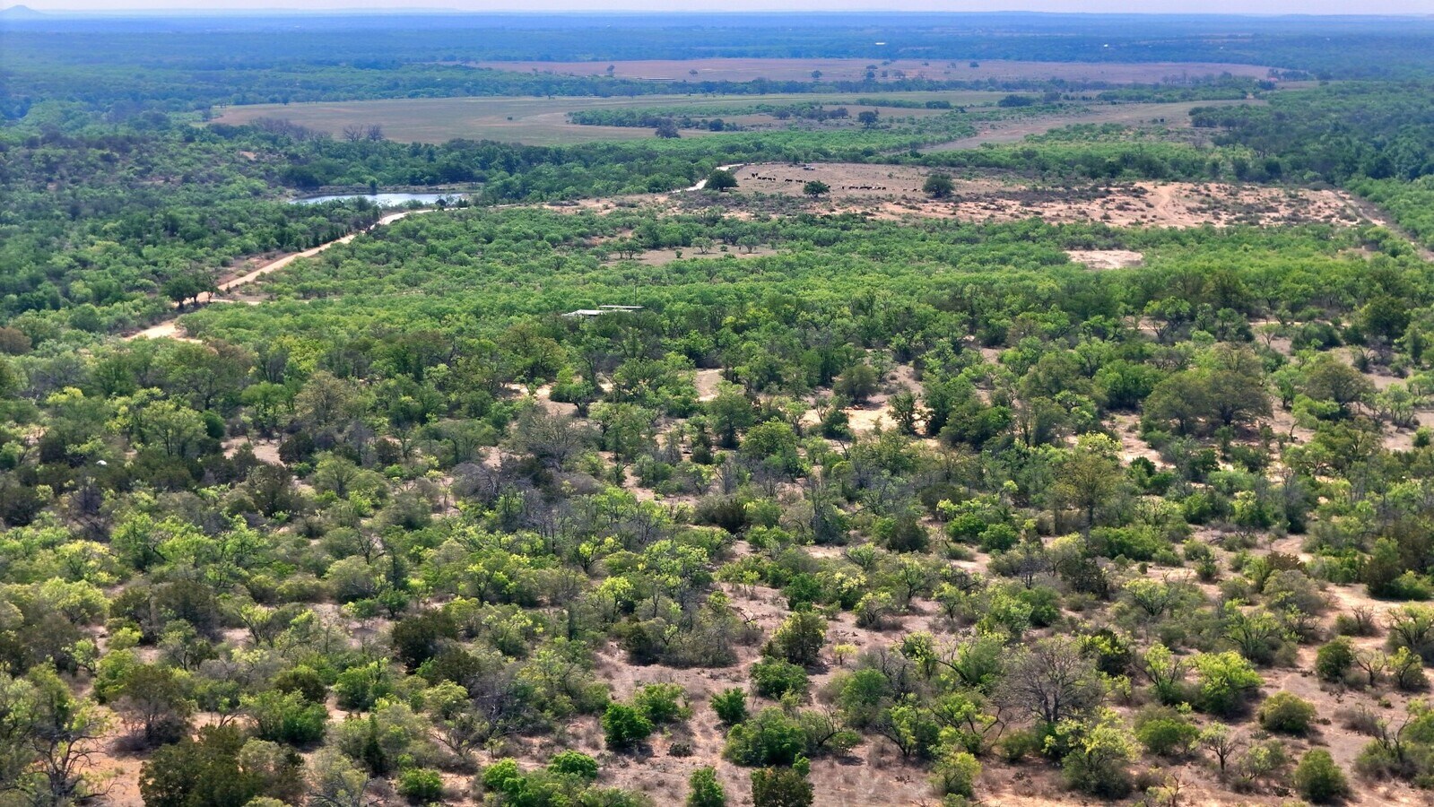 View Photo