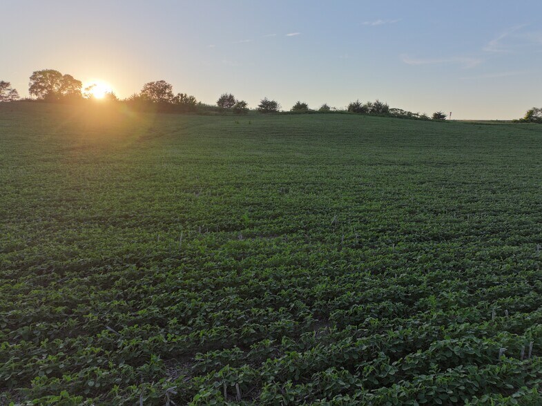 12841 Wittstruck Road, Crete, NE à vendre - Photo de l’immeuble – Image 2 sur 17