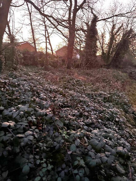 20 Wyatt Rd, Windsor à vendre - Photo de l’immeuble – Image 3 sur 4