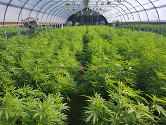 Plus de détails pour 541 W Honeysuckle Ln, Shelton, WA - Industriel/Logistique à vendre