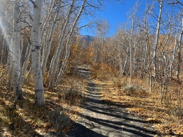 3927 Crowley Lake Dr, Mammoth Lakes, CA à vendre Photo principale– Image 1 sur 8