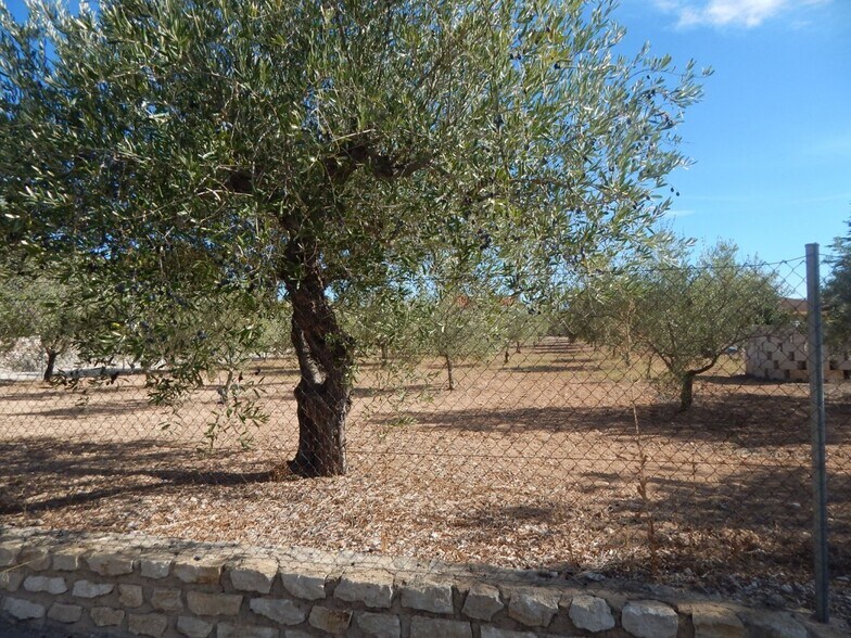 Terrain dans Ontinyent, Valencia à vendre - Photo principale – Image 2 sur 5