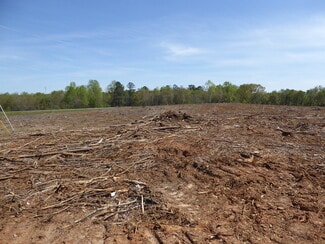 Plus de détails pour 00 GA 155, McDonough, GA - Terrain à vendre