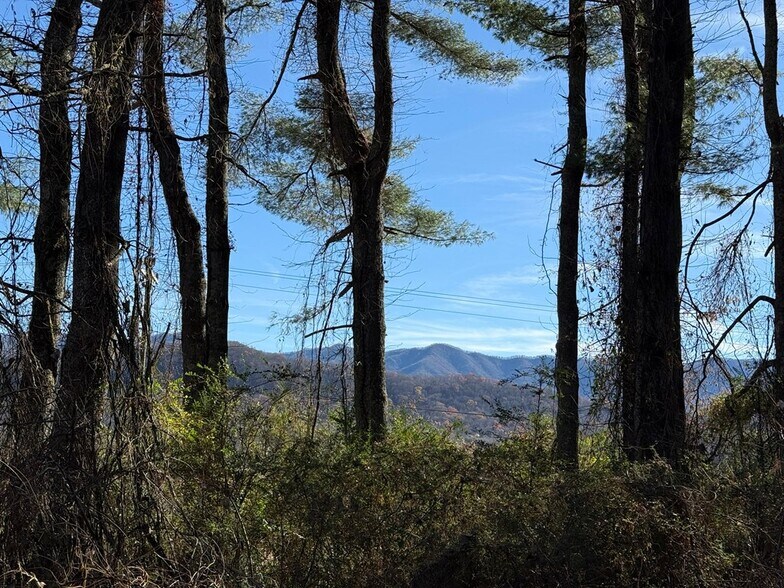 00 Airport Rd, Andrews, NC à vendre - Photo de l’immeuble – Image 3 sur 5