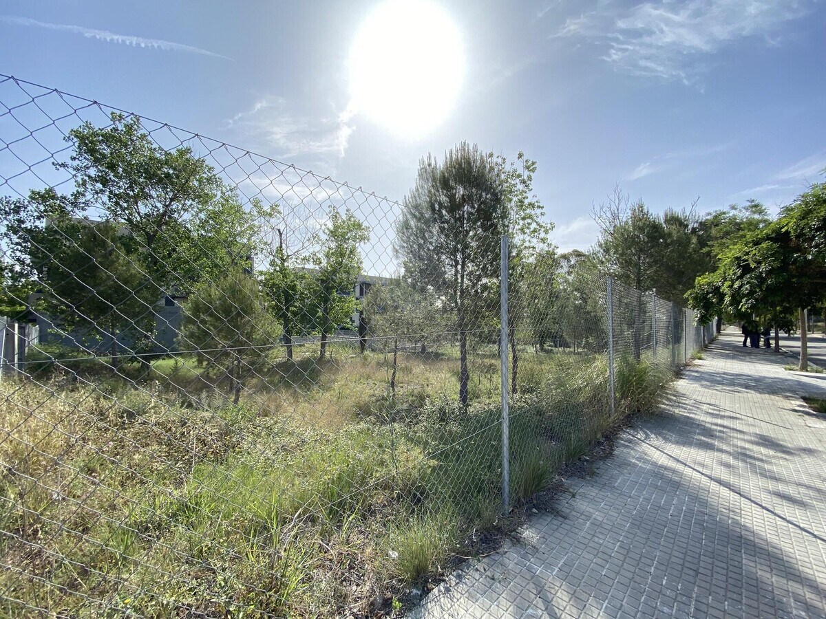 View Photo