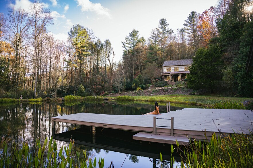 111 Fiddlehead Ln, Zirconia, NC à vendre - Photo principale – Image 1 sur 27