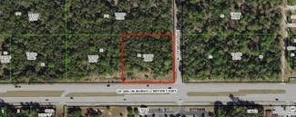 Plus de détails pour 161 W Norvell Bryant Hwy, Hernando, FL - Terrain à vendre