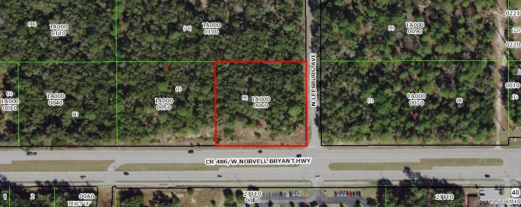 161 W Norvell Bryant Hwy, Hernando, FL à vendre Autre– Image 1 sur 21