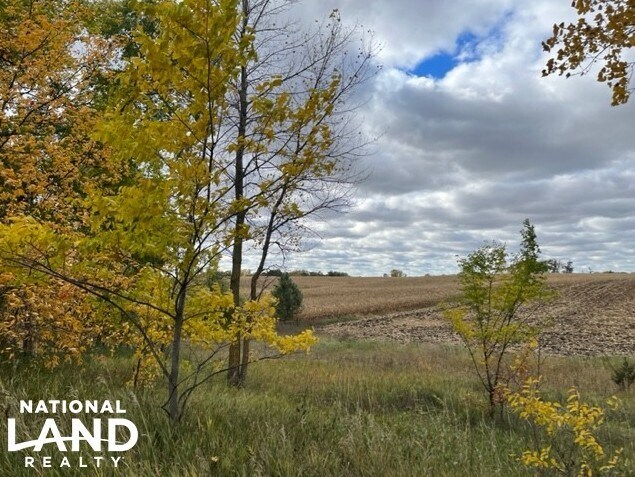 View Photo
