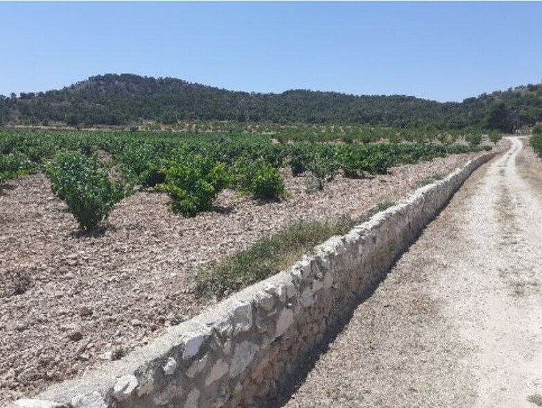 Paraje Sopaire y Cañada de la Leña, 3, Abanilla, Murcia à louer - Photo principale – Image 1 sur 14